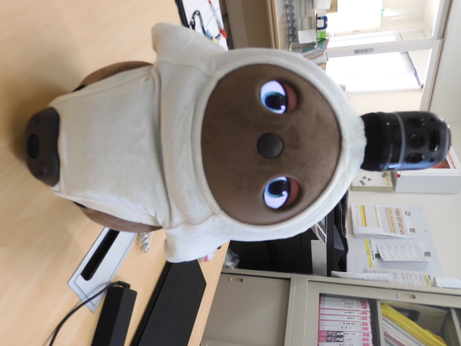 よもぎちゃん(LOVOT)がやって来ました。これから青地の館で皆様と一緒に生活します！