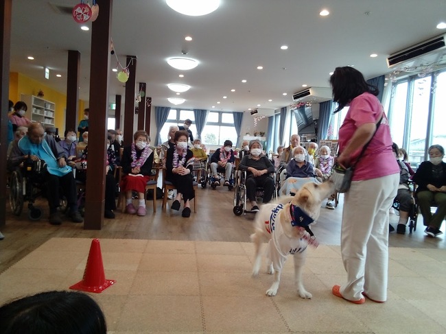 誕生日会とドックセラピーを開催しました