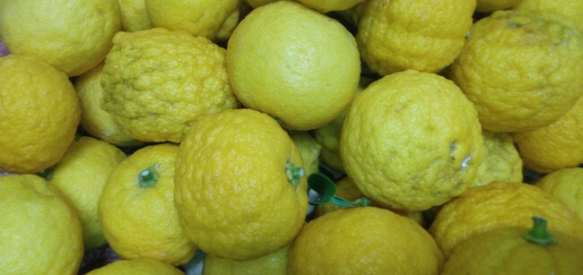 ゆず湯に入って頂きました